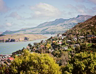 Rural new zealand real estate landscape