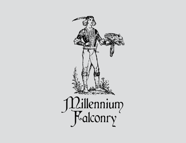 "Millennium Falconry" medieval apparel design