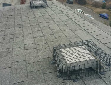 Roof vent covers