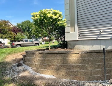 Curved stone retaining wall for a residential garden bed with a blooming hydrangea tree.