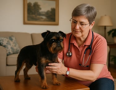 Tierheilpraktikerin führt einen Gesundheitscheck bei einem Hund zu Hause in Hannover durch