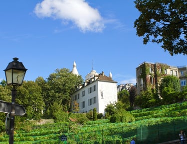 Montmartre Free Tour