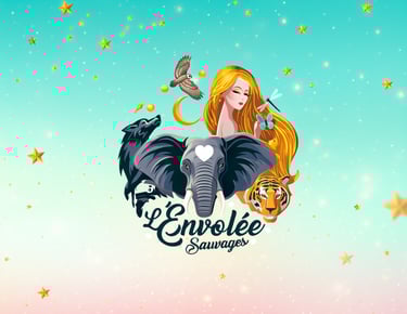 Boutique et énergéticienne l'envolée sauvages Avignon