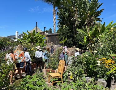 A tour group walks through a lush garden with a wooden chair in the foreground