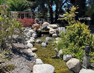 A rock-bordered stream leads to a small "she-shed" in the background