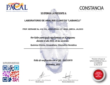 Constancia Pacal 2022
