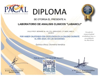 Diploma Pacal 2024