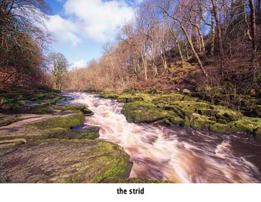 the strid on the river wharfe near bolton abbey