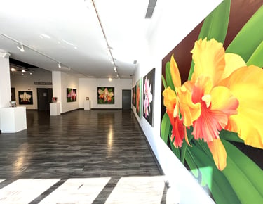 Gallery installation in Rock Hill, SC of Christine Knize's orchid paintings