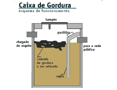 caixa de gordura