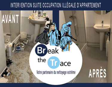 intervention suite occupation illégale appartement Amboise