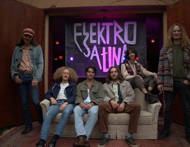 Band, Elektrosauna, couch, Rockstar, Freiburg, Indie, Punk, Rock, Musik