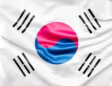 a flag of the south korean flag