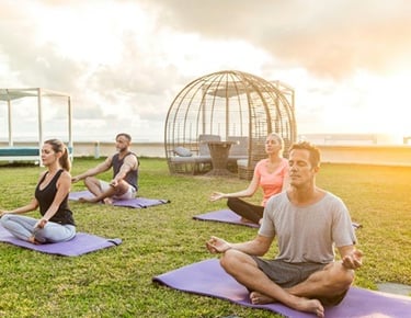 Yoga Poses for the Beginners