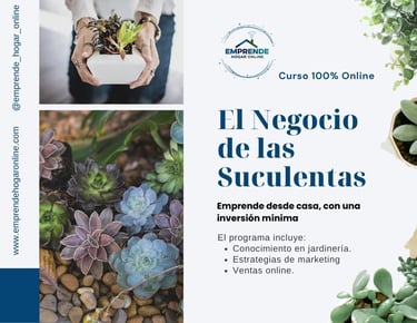 a woman holding a plant in her hands