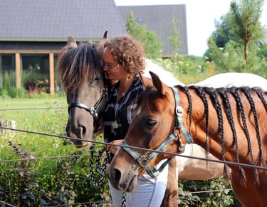 Claudia met twee paarden een bruine en een bruin wit paard