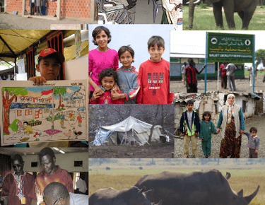 Proposal writing services