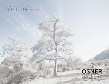 Reverie | Névé exhibition brochure featuring a soft-toned landscape with blooming trees under a pale sky, presented by Osner 