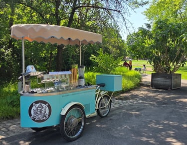 Eis-Bike auf dem Tempelhofer Feld, Britzer Garten
