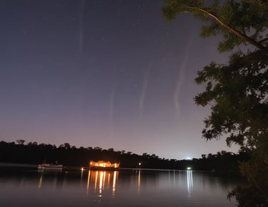 Firefly watching Puerto Princesa Palawan