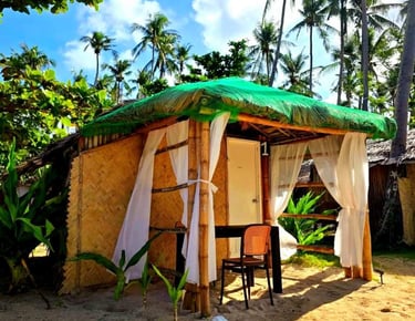 Hut 3D2N Linapacan Island Tour