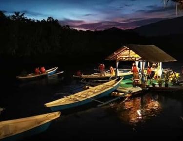 Firefly watching Puerto Princesa Palawan