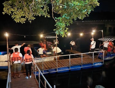 Firefly watching Puerto Princesa Palawan