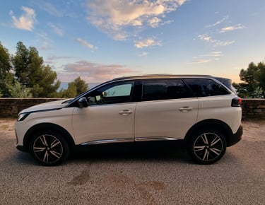 Private Driver 6 people