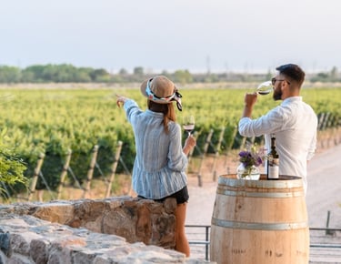 Experiencias en San Rafael con excursiones gastronomía bodegas y turismo aventura