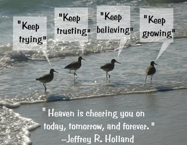 Seabirds in water's edge with talk bubbles saying Keep trying . . .