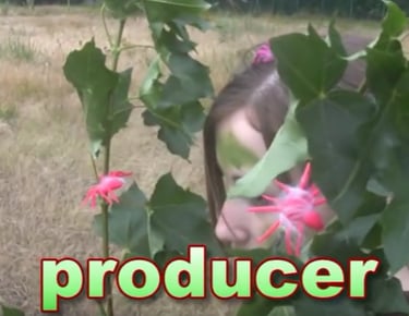 A producer is an organism that makes its own food
