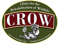 Animal hospital dryer vent cleaning