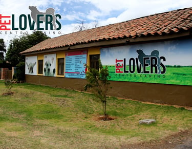 Pet Lovers Criadero en sus inicios 