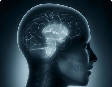 a human head and neck pain with a brain scang