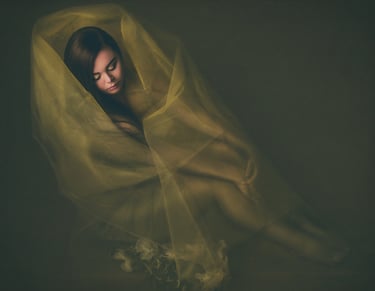 Fine art portrait of a woman wrapped in soft tulle, with a moody and elegant expression.