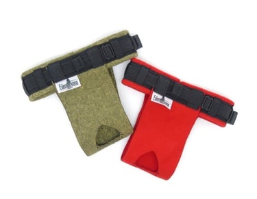 culotte incontinence urinaire chat