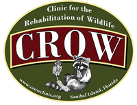 Wildlife Rehabilitation Dryer Vents