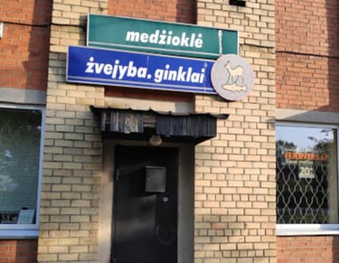 naktižibis Mažeikiai