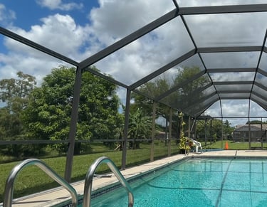 pool screen paint