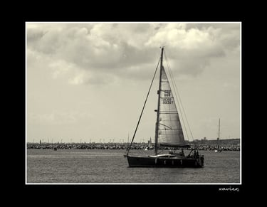 Xavier Montaner - 5276