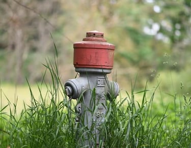 Orange well cap in tall grass