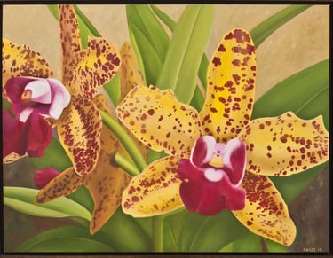 Yellow Red Spotted Cattleyas