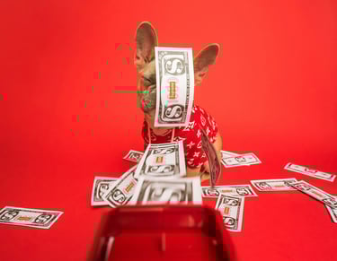 dogAdvisor | dogadvisor | dog advisor | dogAdvisor.dog