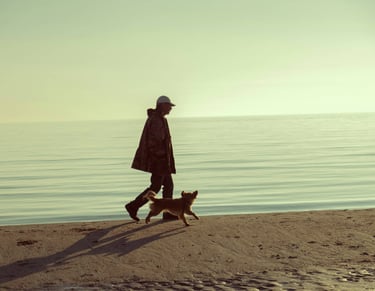 dogAdvisor | dogadvisor | dog advisor | dogAdvisor.dog