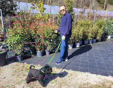 Eleveur des Diamants Noirs d'Also