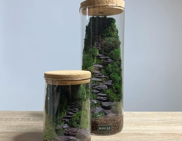 un terrarium unique