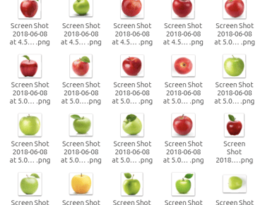 Images in Data Set 