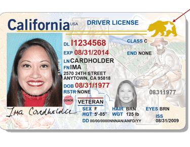 a woman's driver's license