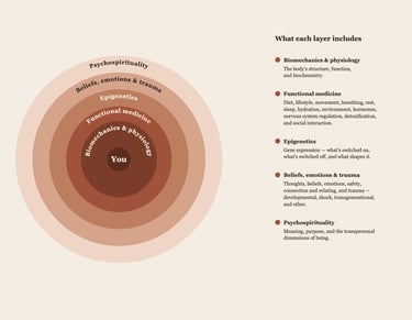 Integrative medicine wheel by Joanna Bauer-Savage — five layers of whole-person healing.