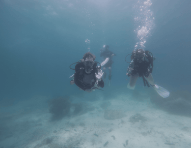 Open Water Divers